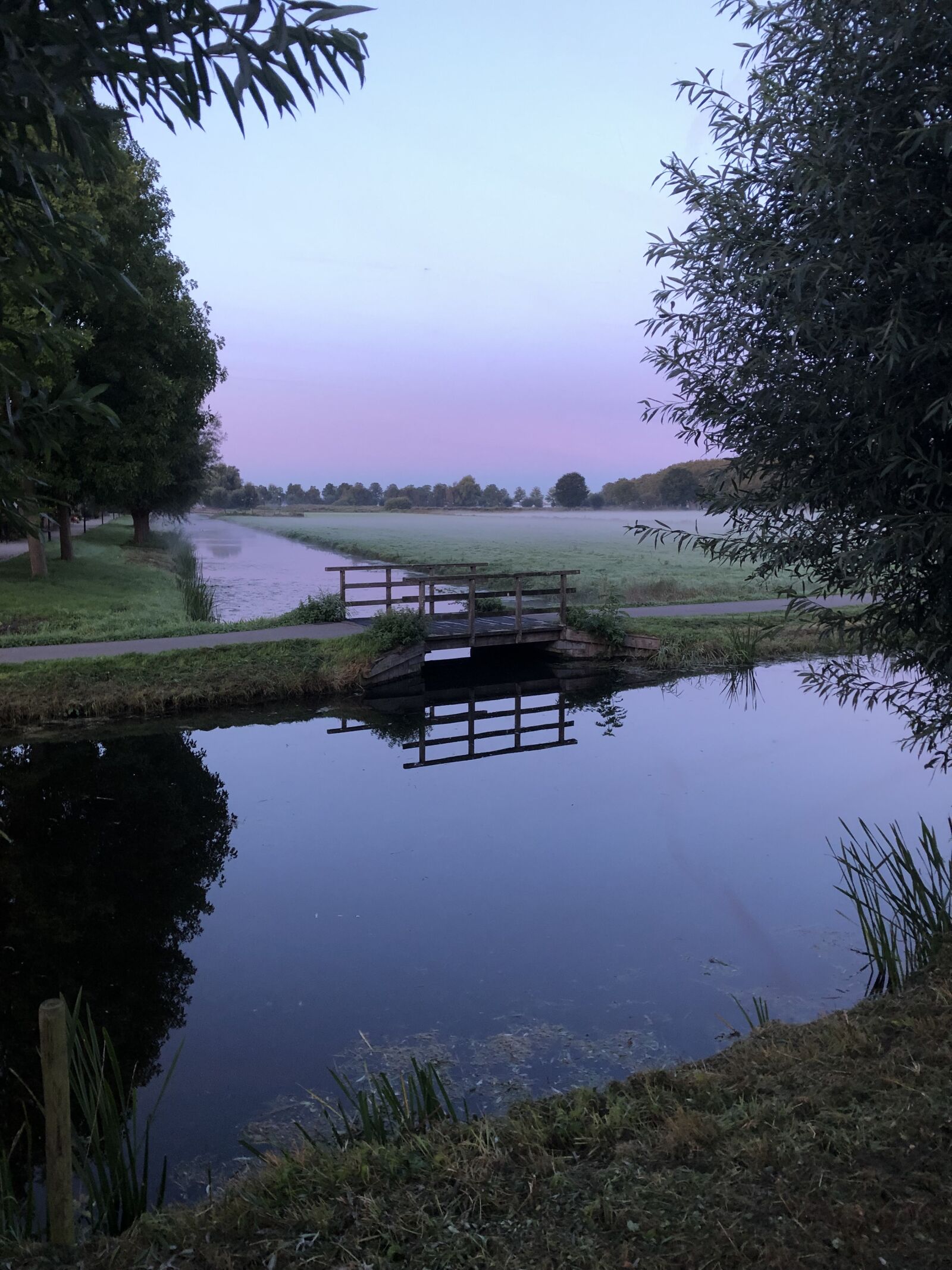 iPhone 8 Plus back dual camera 3.99mm f/1.8 sample photo. Morning, silence, water photography