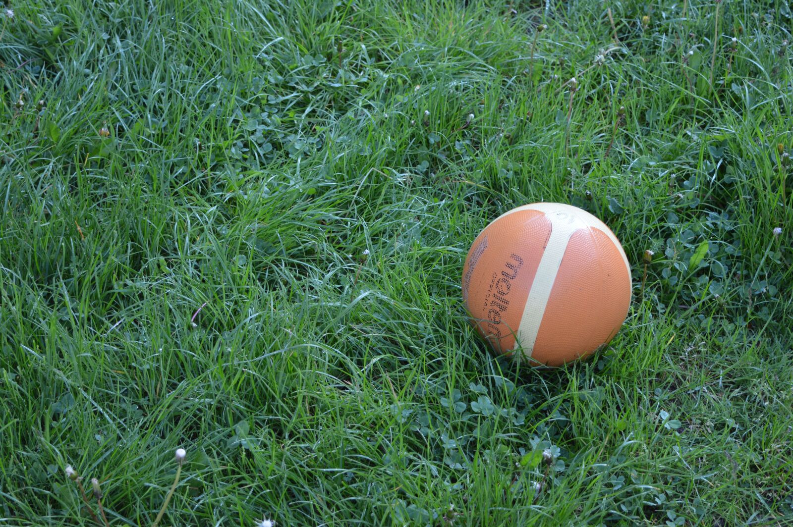 Nikon D3200 sample photo. Ball, orange, grass photography