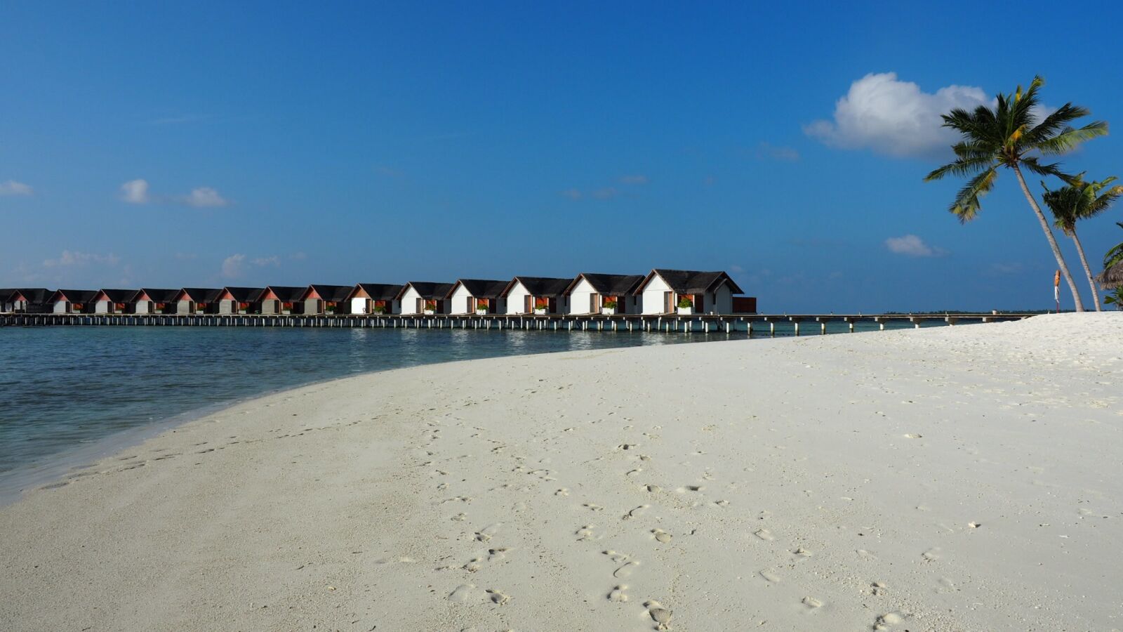 Olympus OM-D E-M5 II + Olympus M.Zuiko Digital ED 12-40mm F2.8 Pro sample photo. Sea, exotica, beach photography