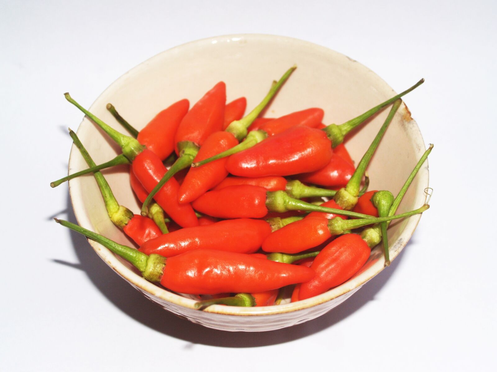 Olympus E-300 (EVOLT E-300) sample photo. Chilli, pepper, red photography