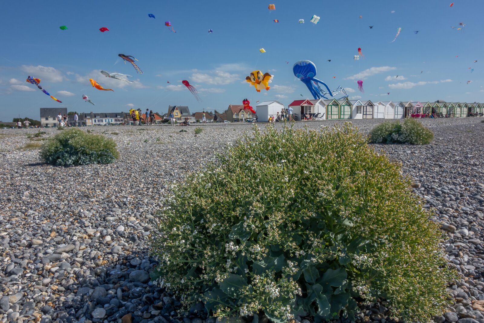 Sony Cyber-shot DSC-RX100 sample photo. Kite, festival, beach photography