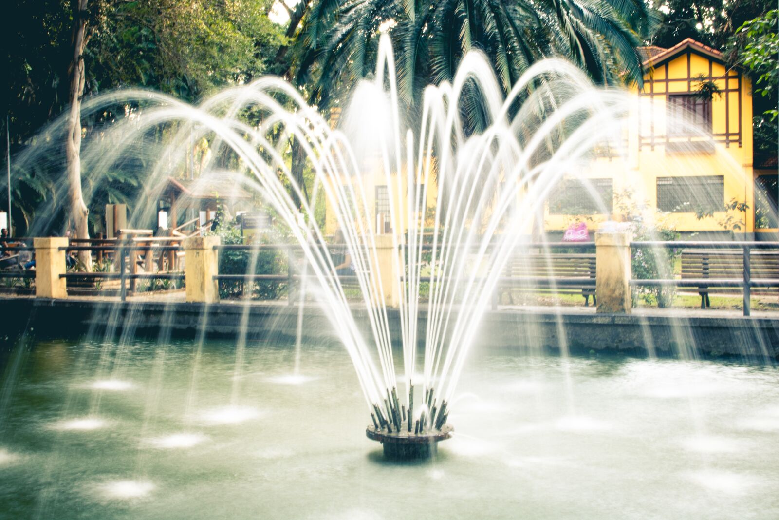 Canon EOS 750D (EOS Rebel T6i / EOS Kiss X8i) sample photo. Water, source, wet photography