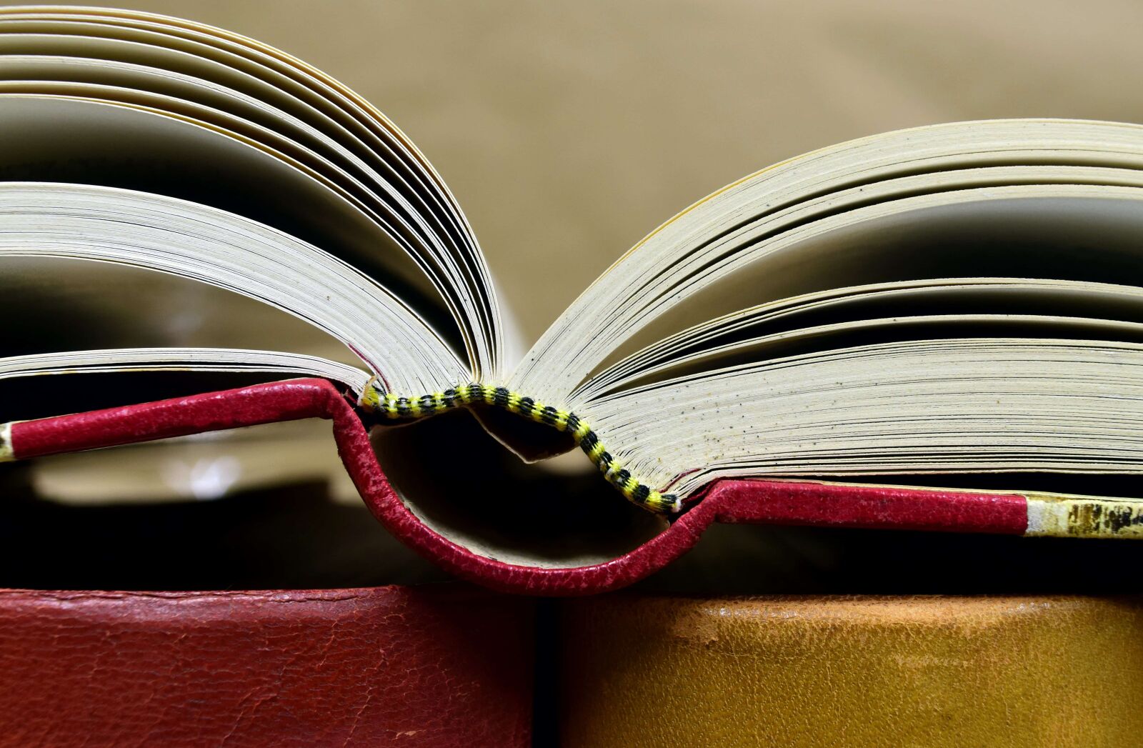 Nikon D3300 sample photo. Knowledge, wisdom, library, literature photography