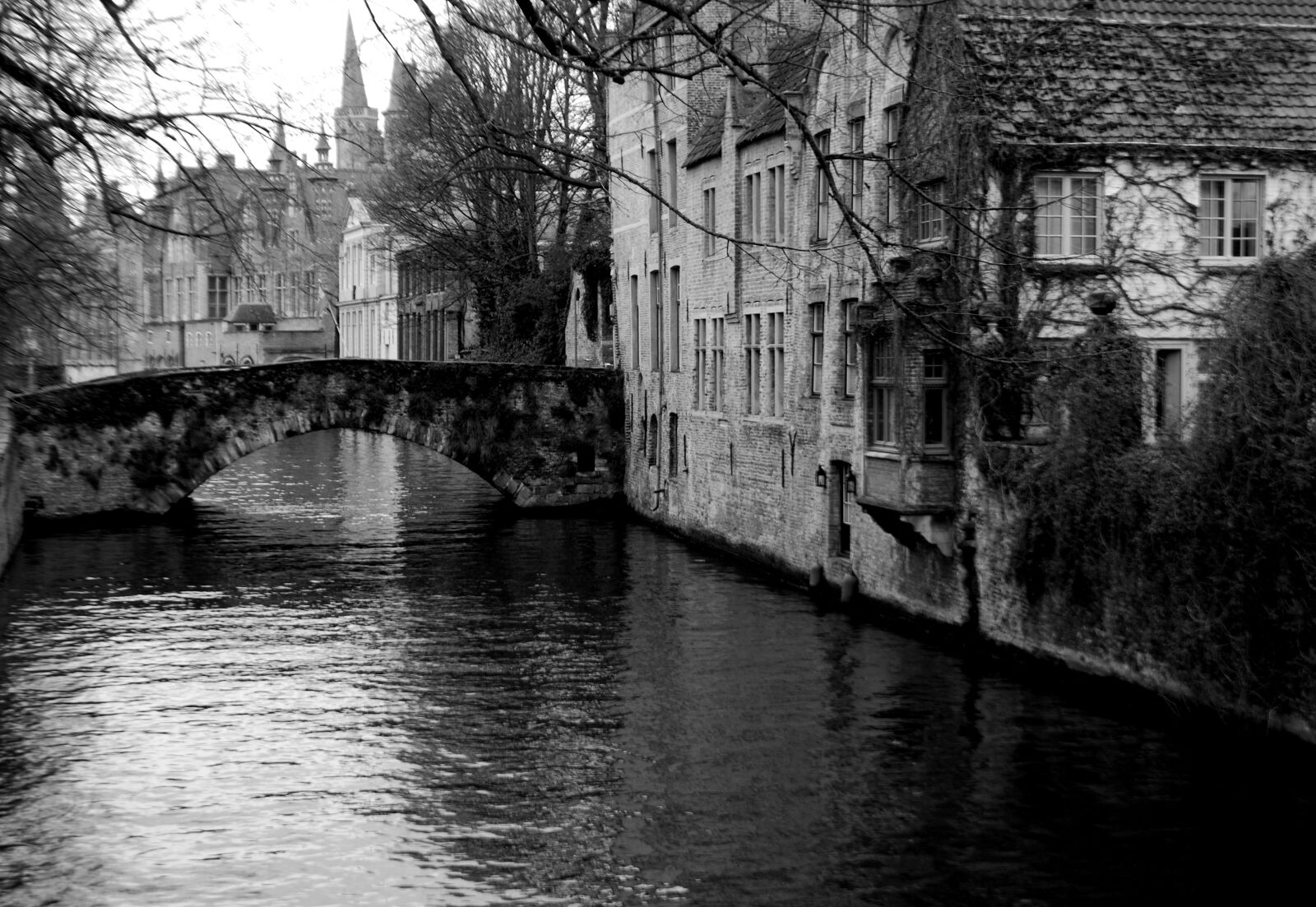 Nikon D40X sample photo. Bruges, belgium, historically photography