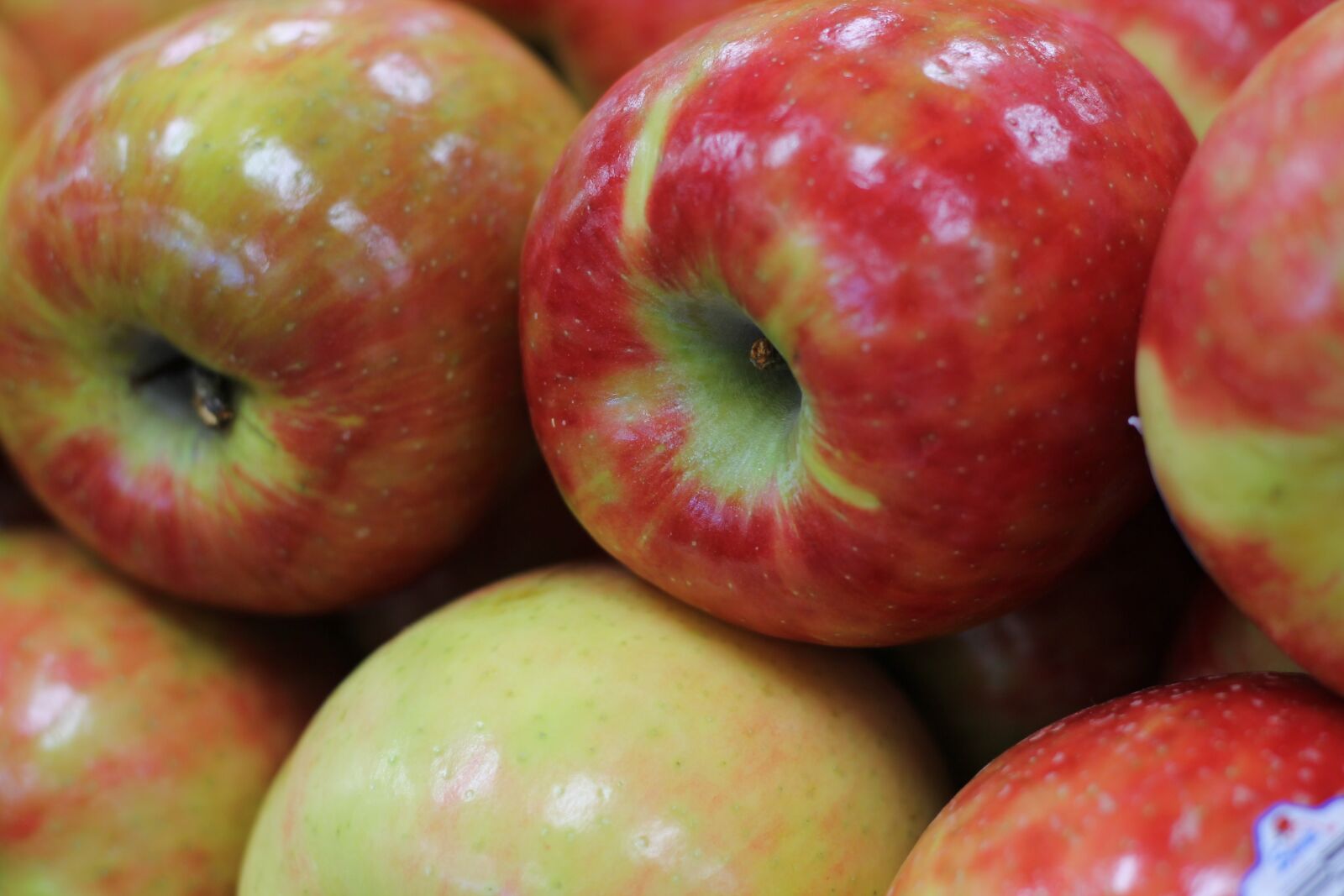 Canon EOS 1100D (EOS Rebel T3 / EOS Kiss X50) sample photo. Apple, fruit, fresh photography