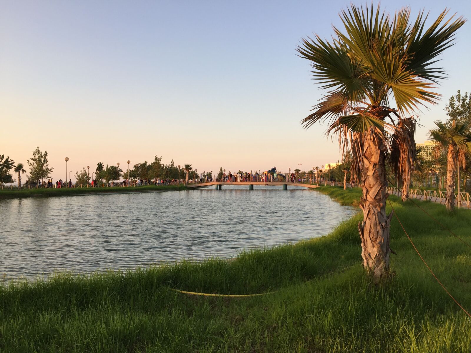 Apple iPhone 6 sample photo. Oran, city, park photography