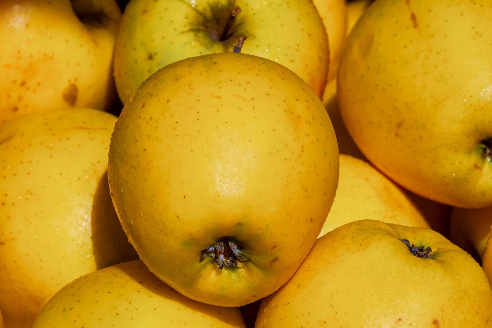 Fujifilm XF 55-200mm F3.5-4.8 R LM OIS sample photo. Apple, golden delicious, fruit photography
