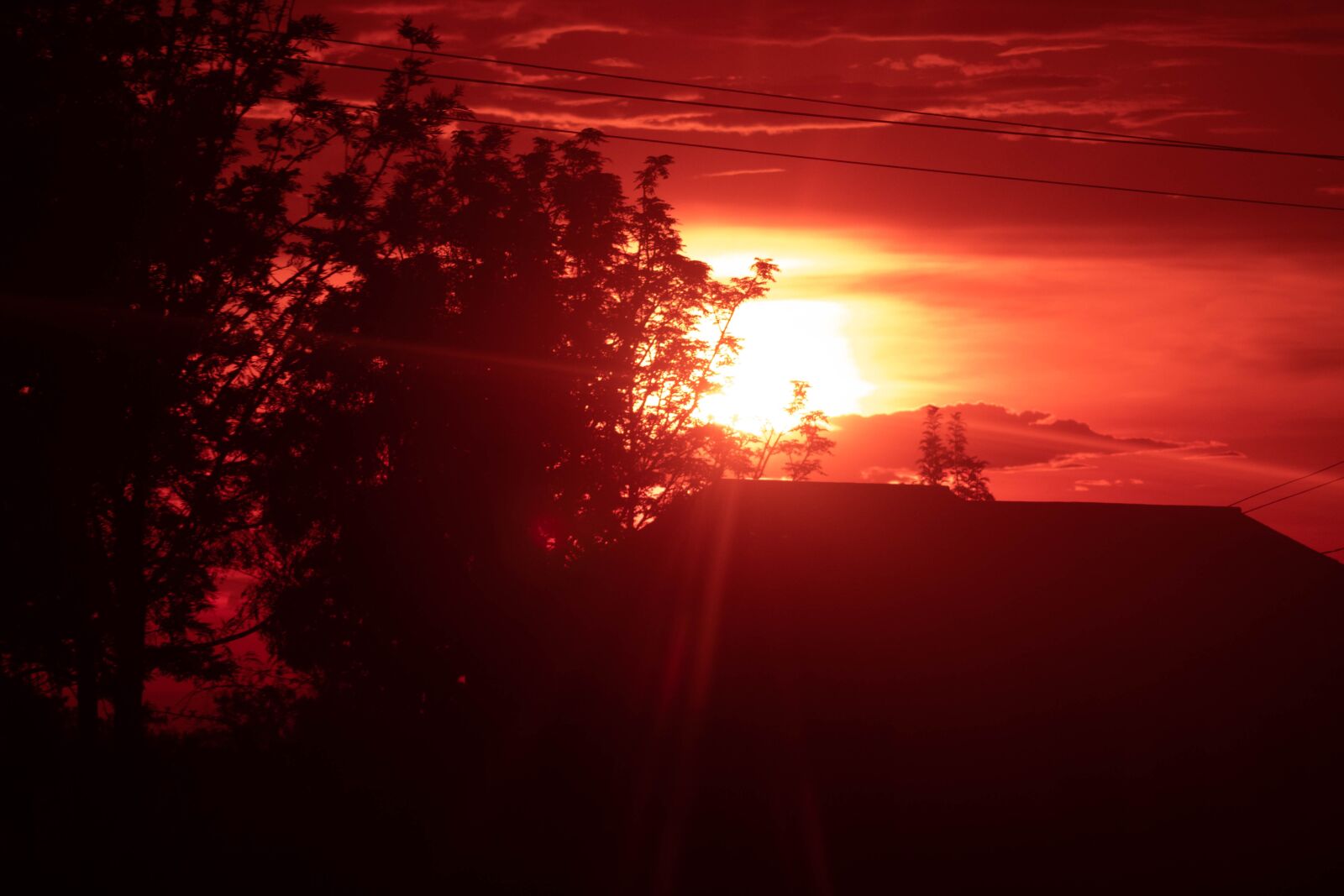 Canon EF75-300mm f/4-5.6 sample photo. Evening, sunset, sun photography