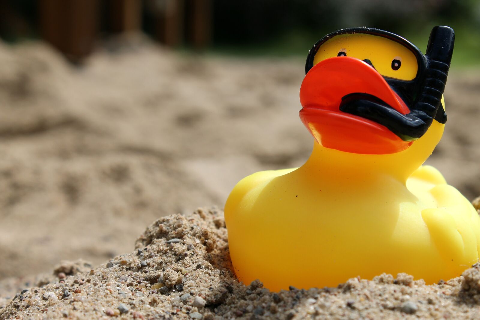 Canon EOS 1100D (EOS Rebel T3 / EOS Kiss X50) sample photo. Rubber duck, sand, summer photography