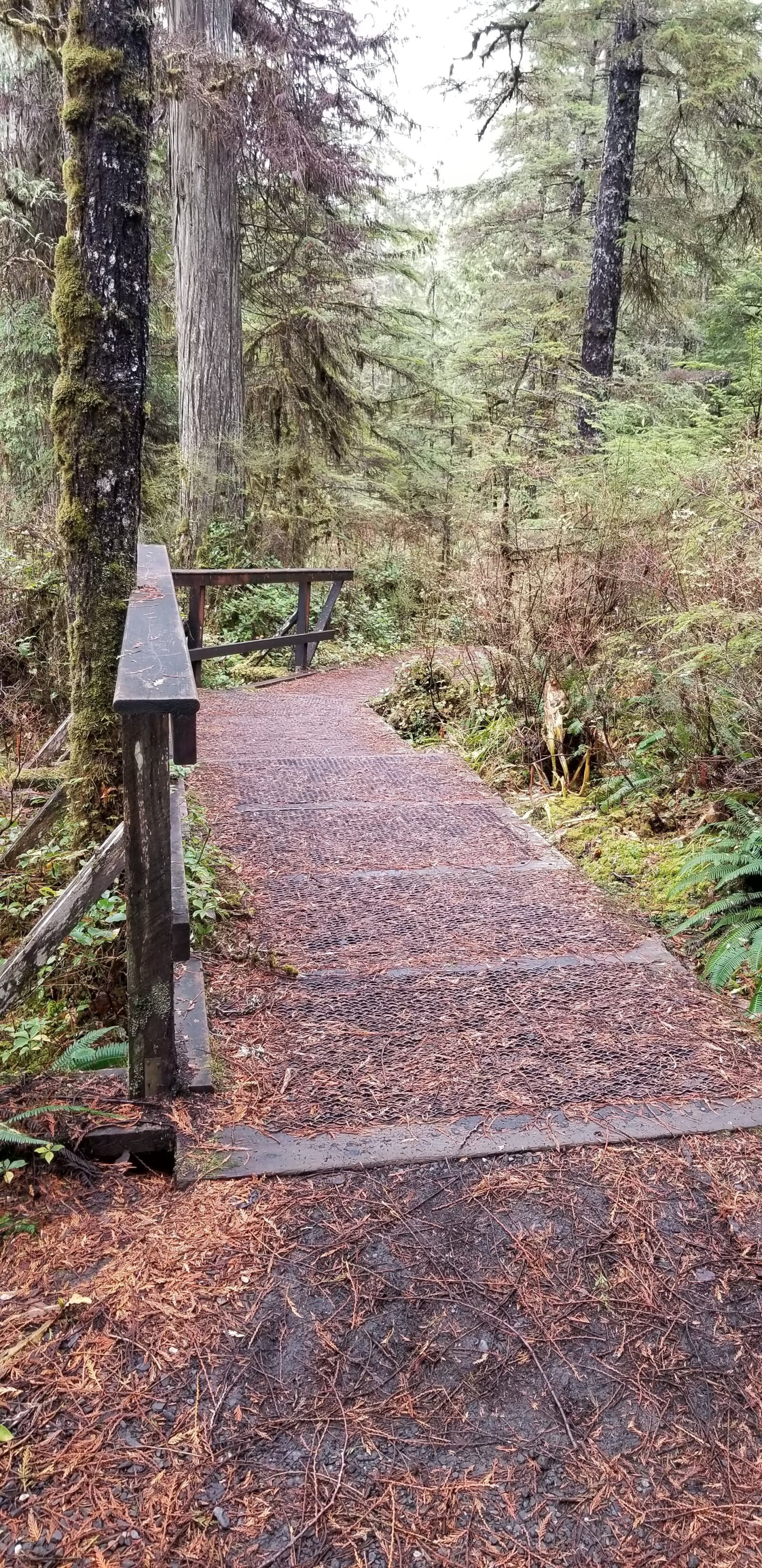 Samsung Galaxy S8 sample photo. Peaceful path, forest path photography