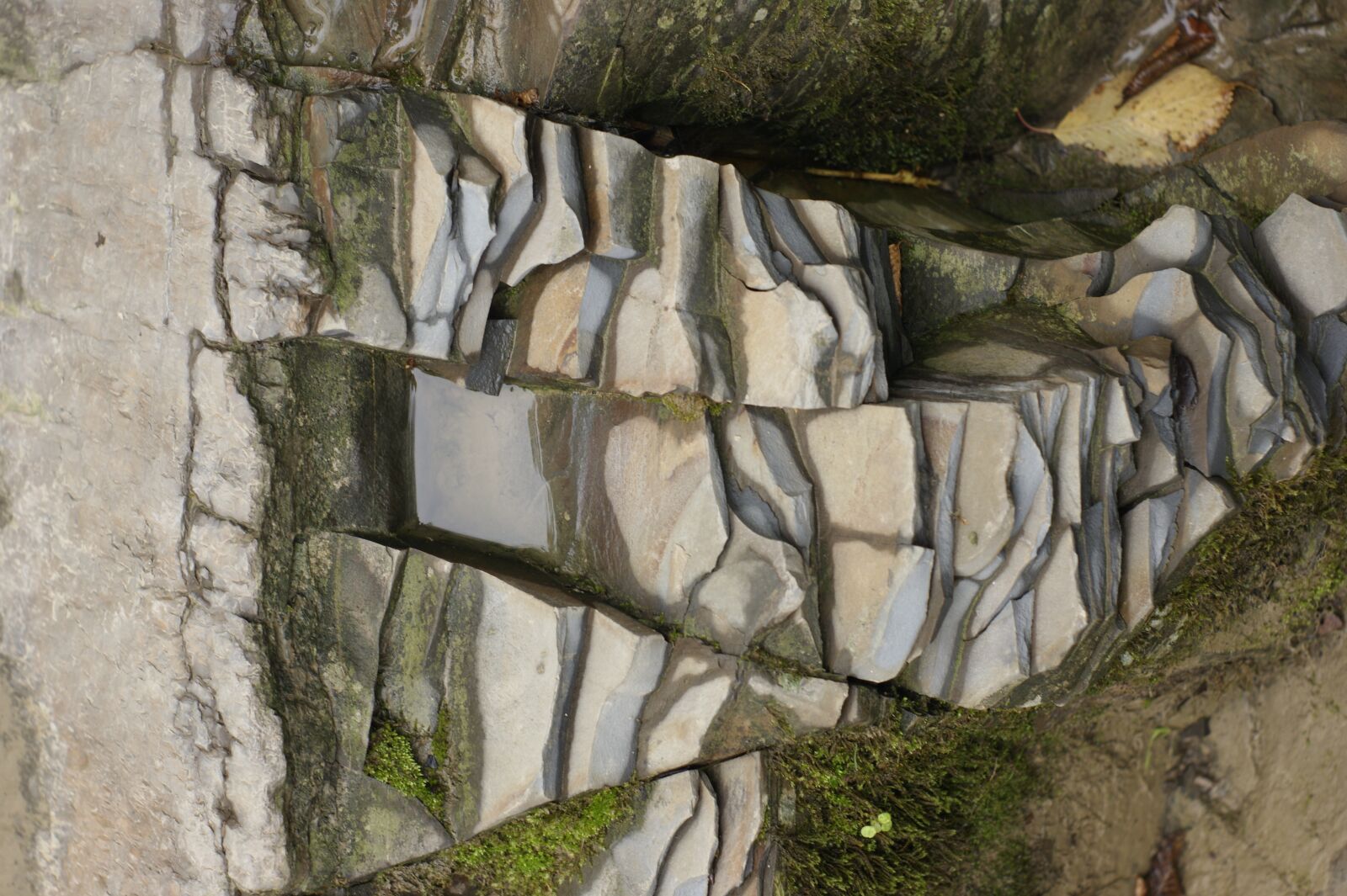 Sony Alpha DSLR-A290 sample photo. Stones, shales, mudrock photography