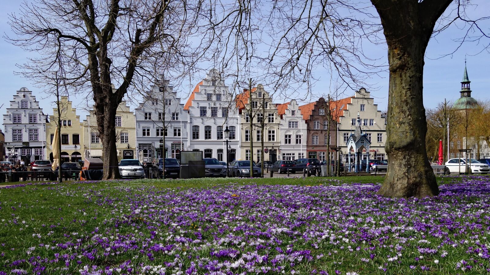 Sony Cyber-shot DSC-RX100 II sample photo. Friedrichstadt, crocus, crocus flower photography