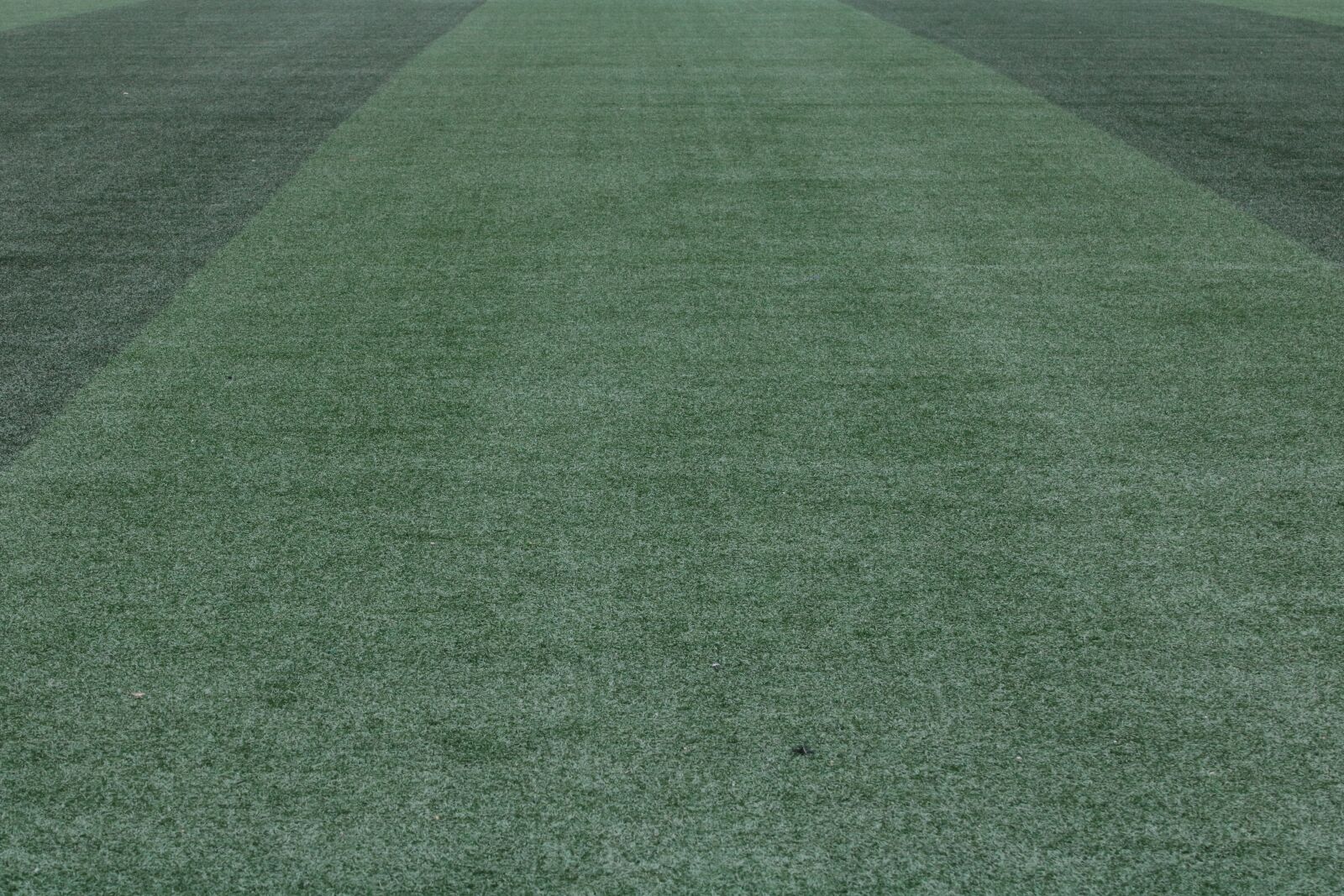 Canon EOS 750D (EOS Rebel T6i / EOS Kiss X8i) sample photo. Soccer field, artificial turf photography