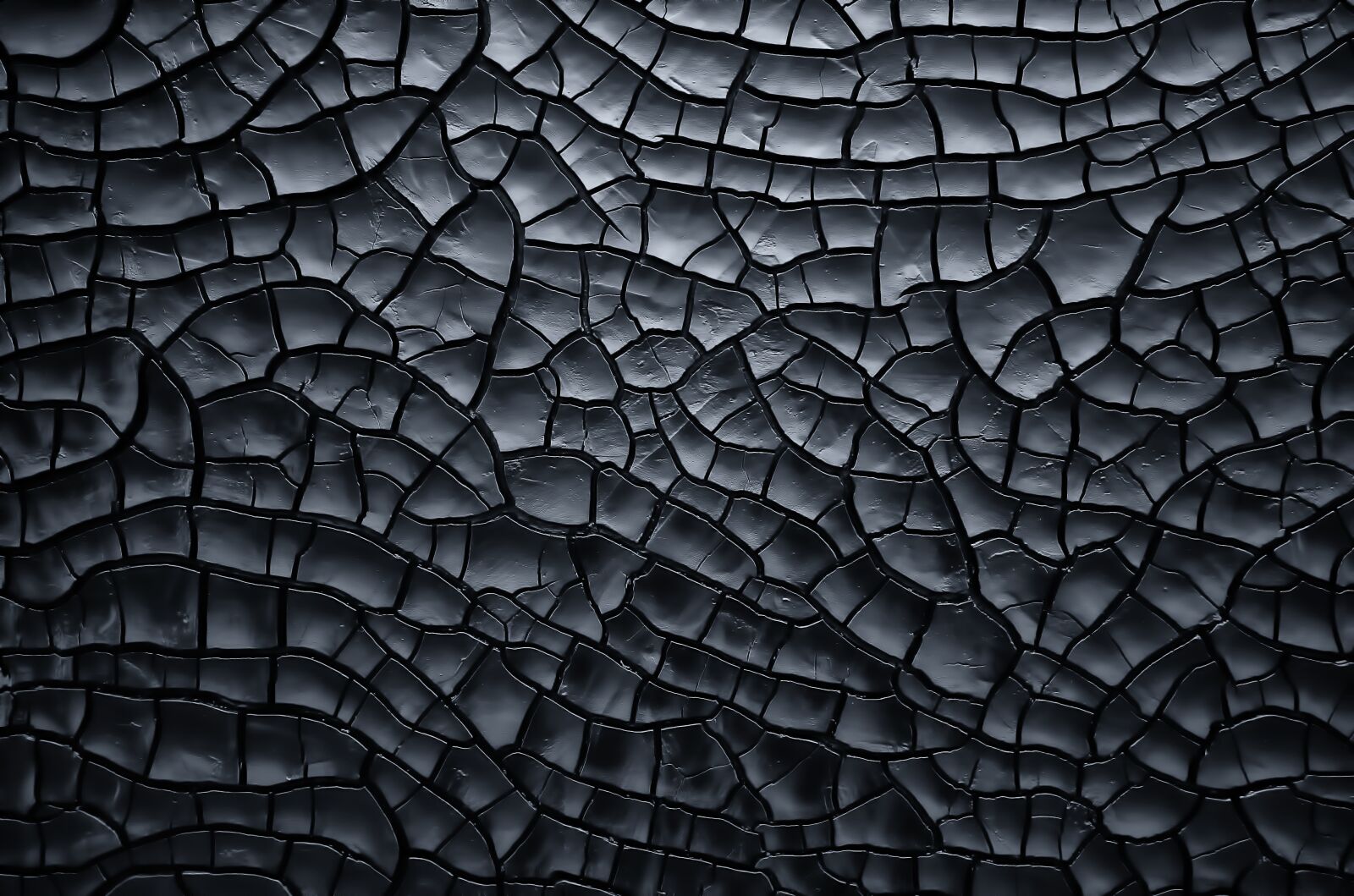 Nikon D3S sample photo. Texture, black, background photography