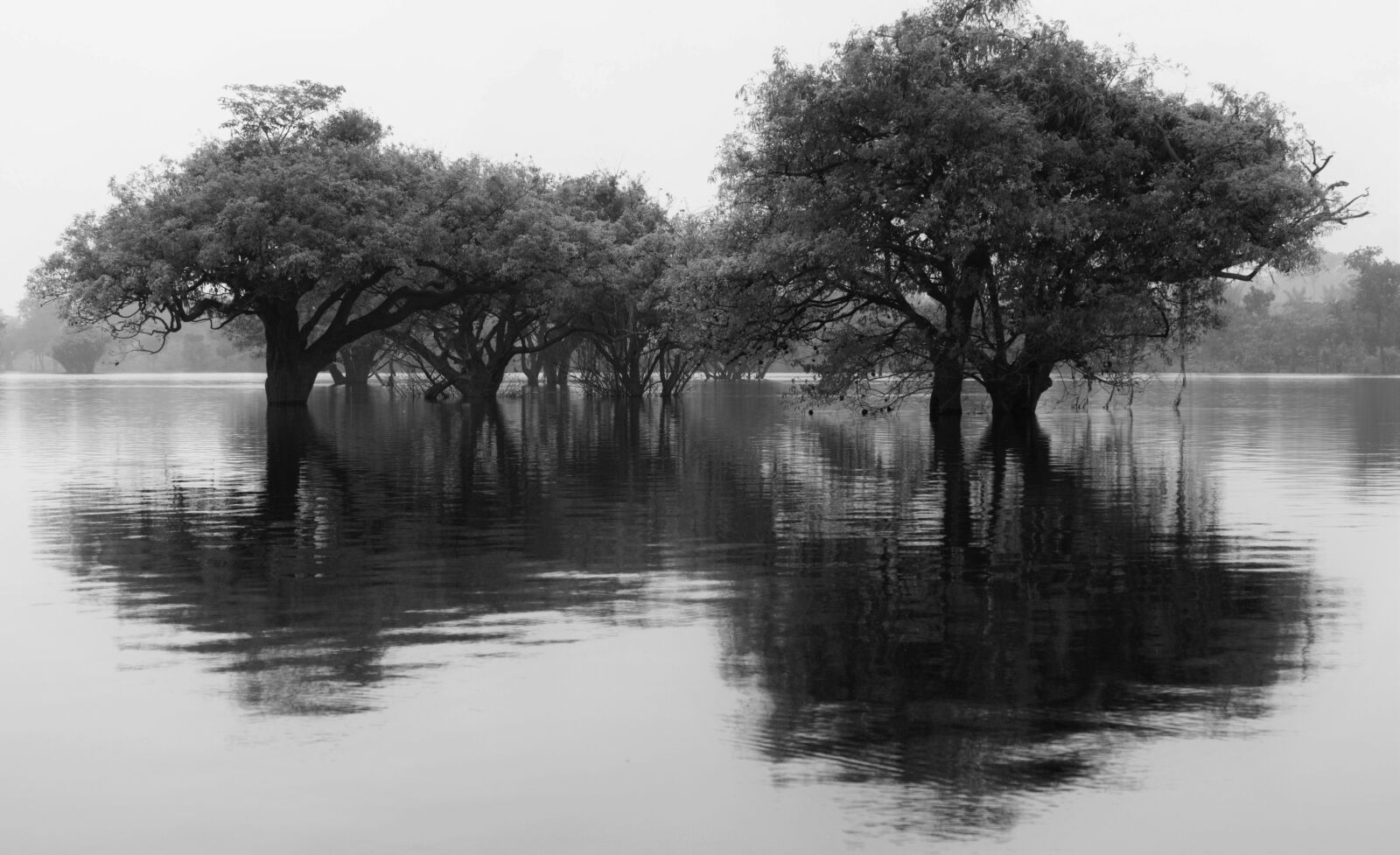 Canon EOS 70D sample photo. Amazonas, brasil photography