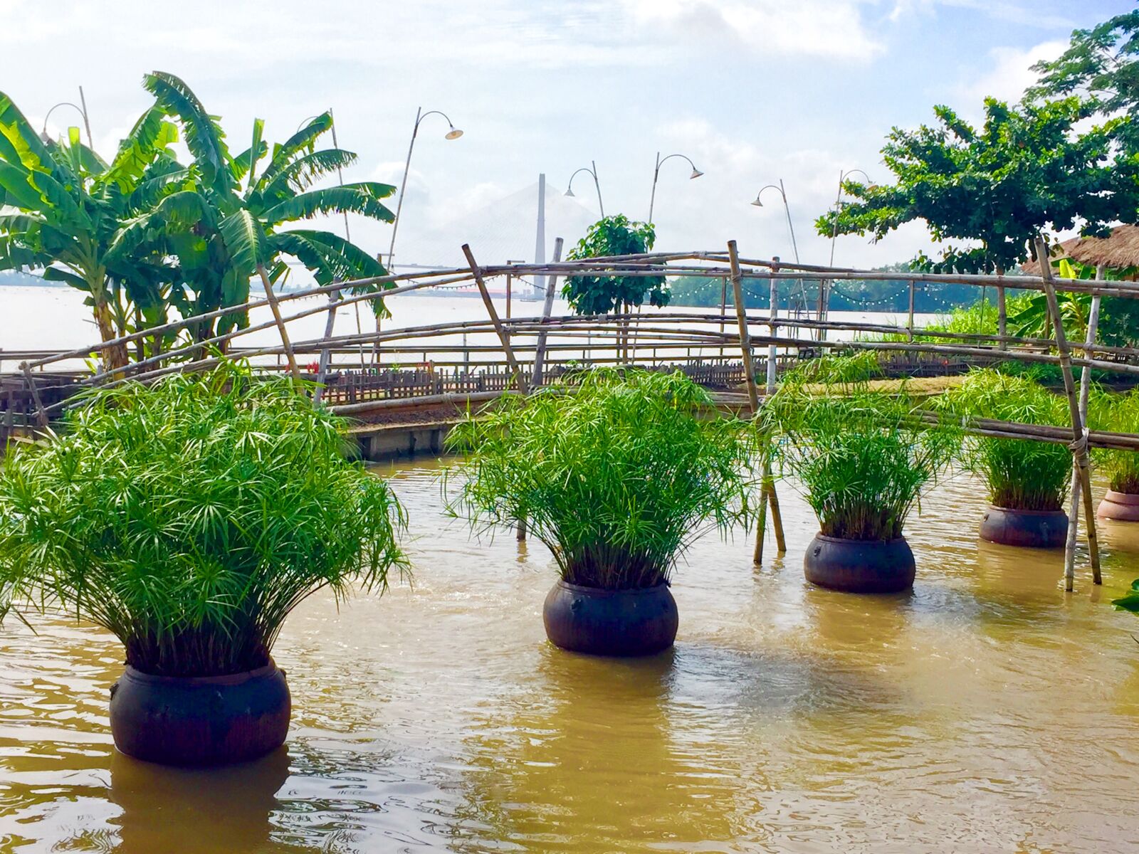 iPhone 6 back camera 4.15mm f/2.2 sample photo. Bamboo, bridge, landscape photography