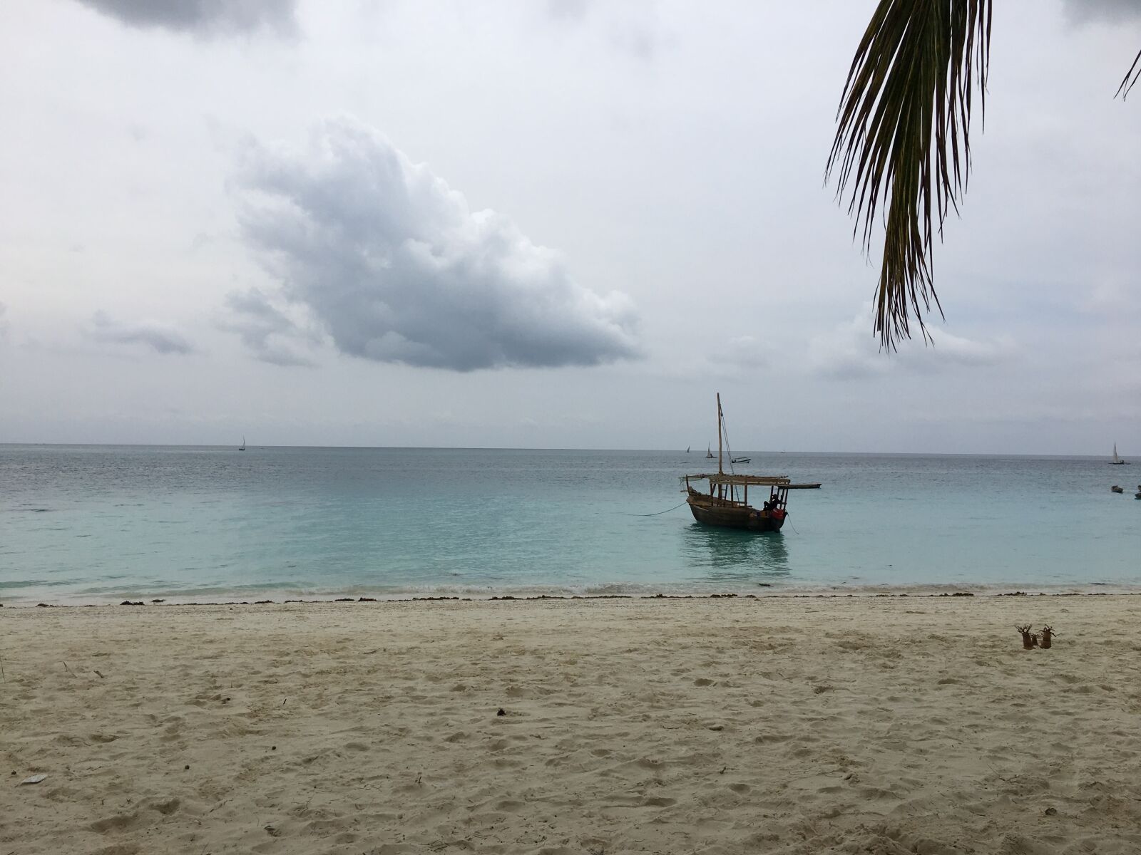 Apple iPhone 6s sample photo. Zanzibar, ocean, africa photography