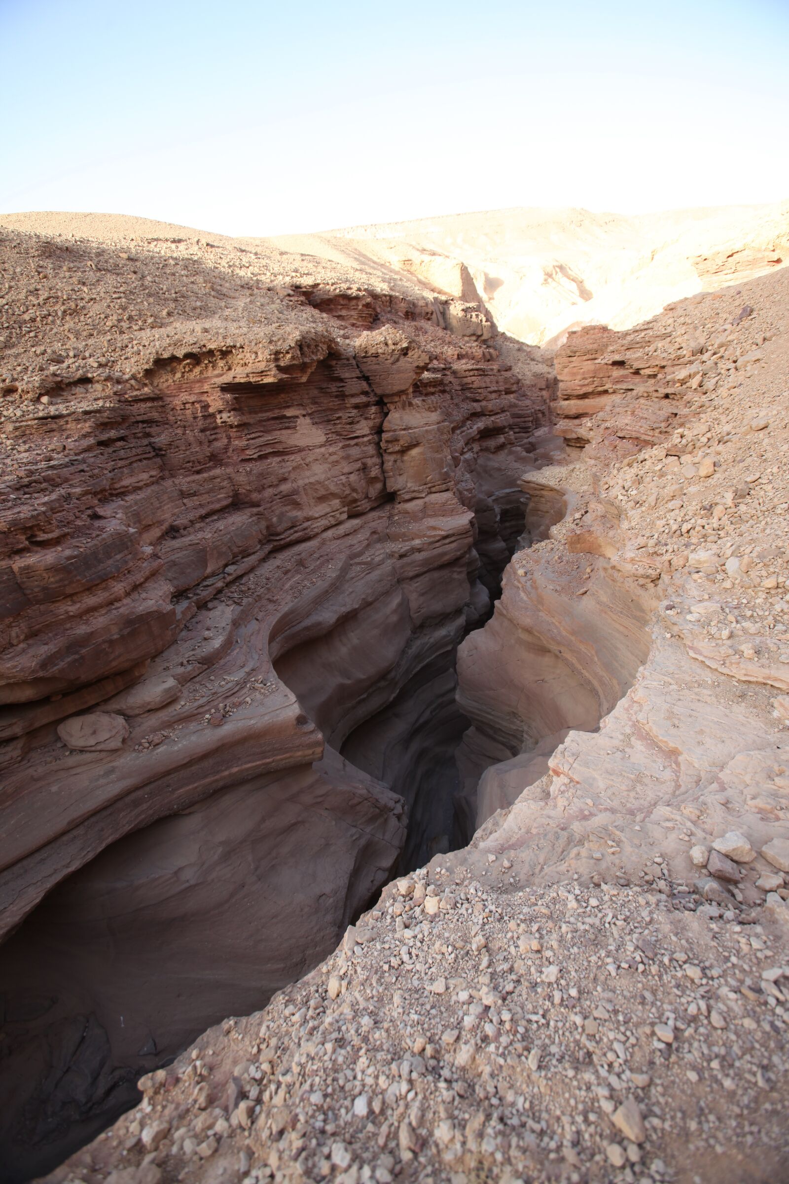 Canon EOS 5D Mark II sample photo. Israel, timna, travel photography