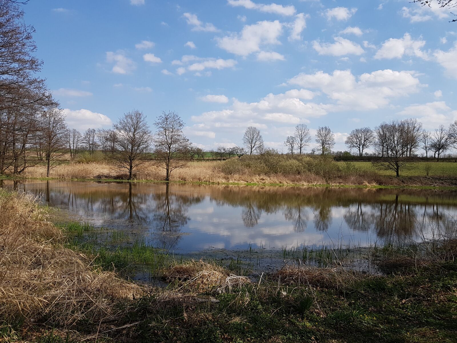 Samsung Galaxy S7 sample photo. Spring, pond, trees photography