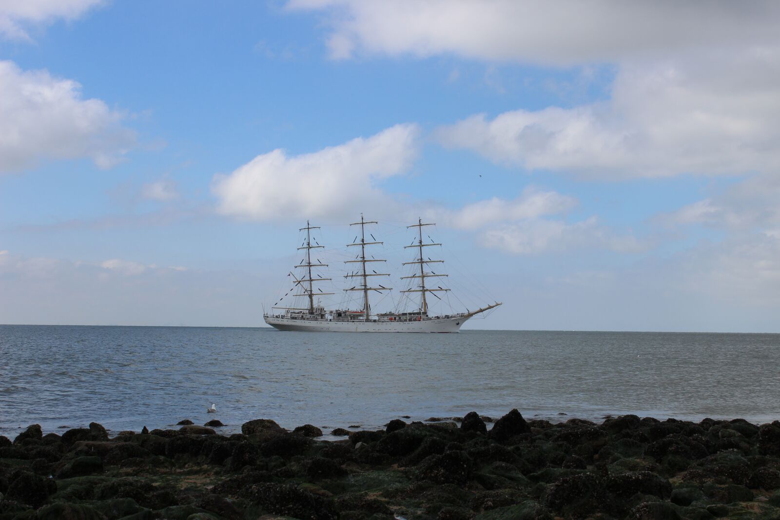Canon EOS 600D (Rebel EOS T3i / EOS Kiss X5) sample photo. Background, ship, sea photography