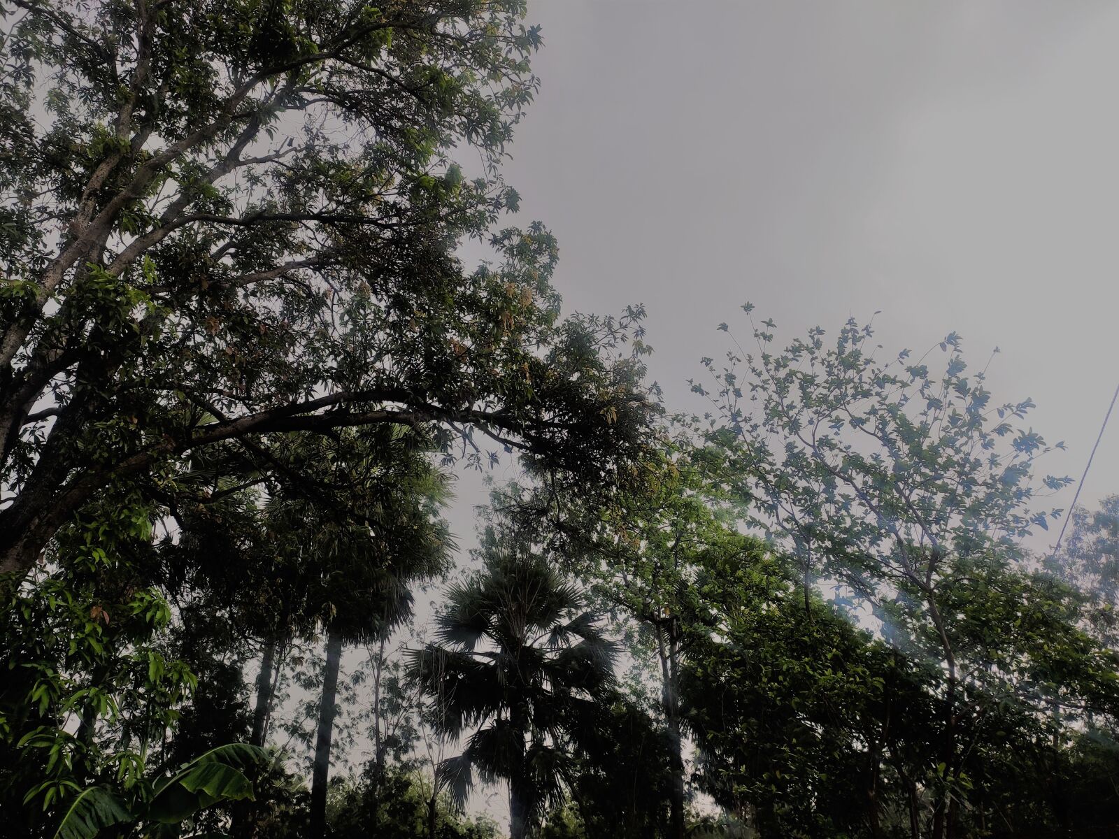 Xiaomi Redmi Note 7 Pro sample photo. Sky, nature, clouds photography