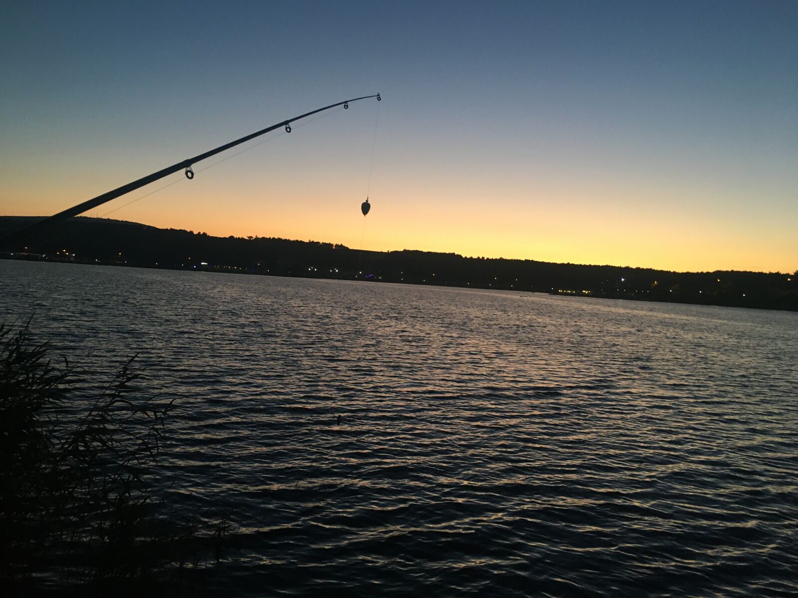 iPhone 6s back camera 4.15mm f/2.2 sample photo. Fishing rod, fish, pond photography