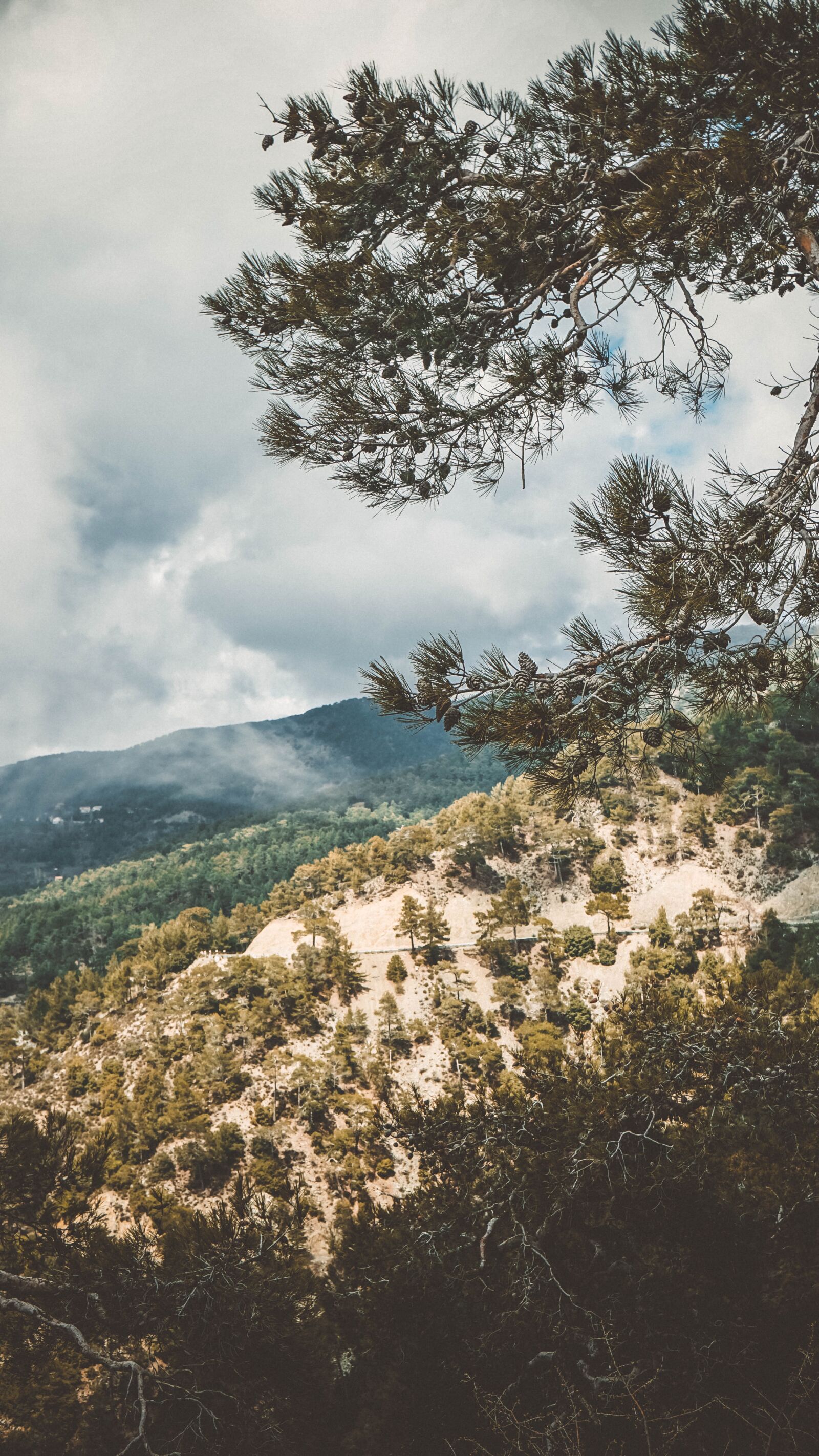 Sony a6000 + Sony Vario-Tessar T* E 16-70mm F4 ZA OSS sample photo. Nature, landscape, cyprus photography