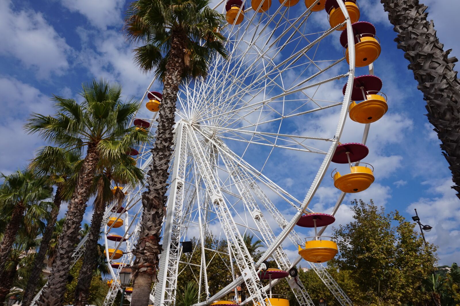 Sony Alpha a5000 (ILCE 5000) sample photo. Ferris wheel, palm trees photography