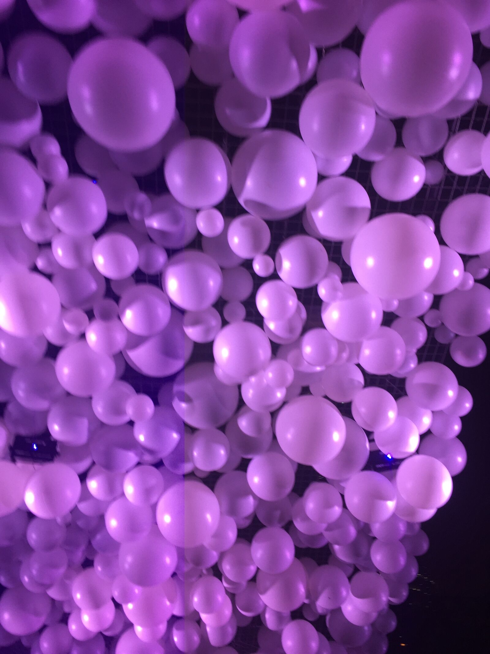 Apple iPhone 6 sample photo. Background, purple, balloons photography