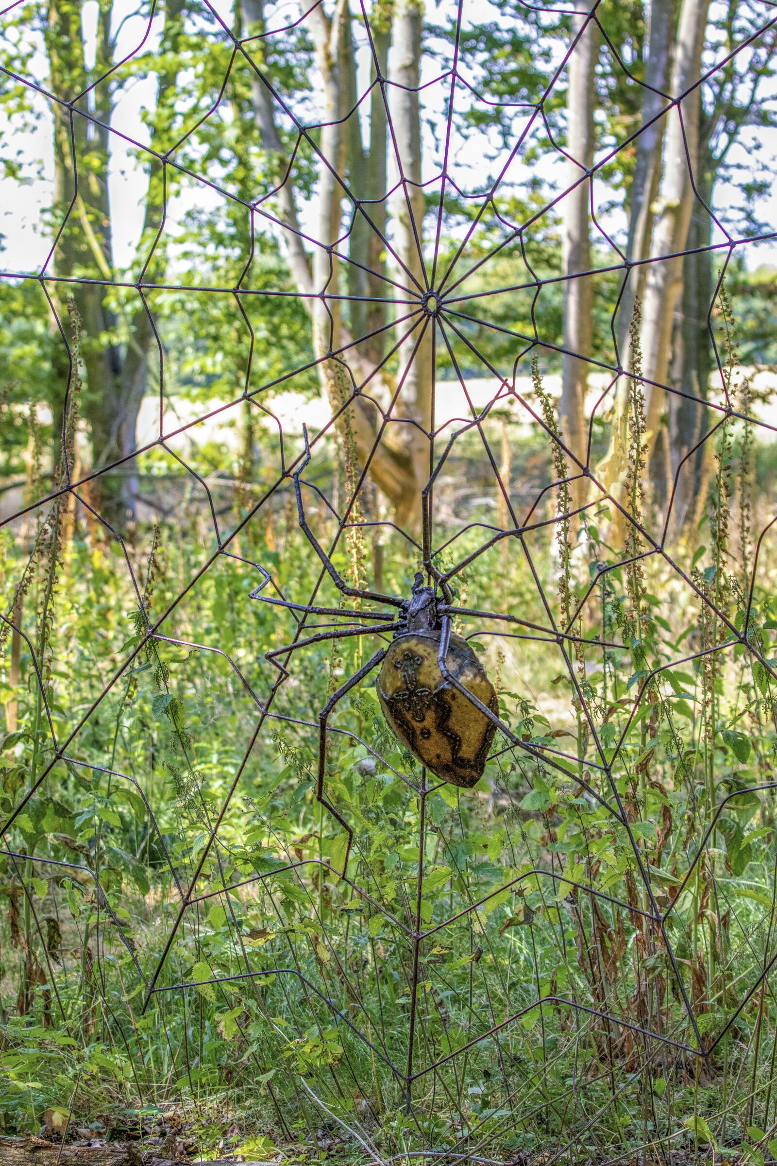 Sigma 100-400mm F5-6.3 DG OS HSM sample photo. Spider, art, installation photography