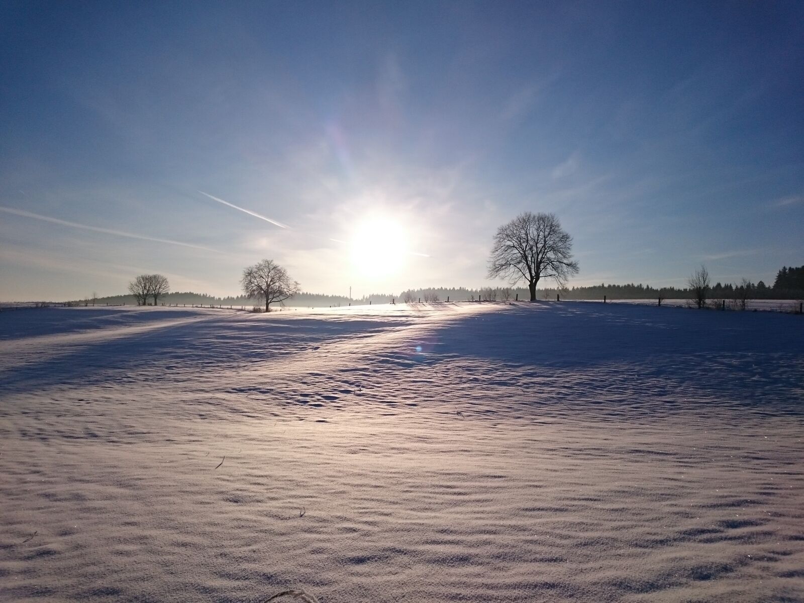 Sony Xperia Z3 sample photo. Winter, sun, snow photography
