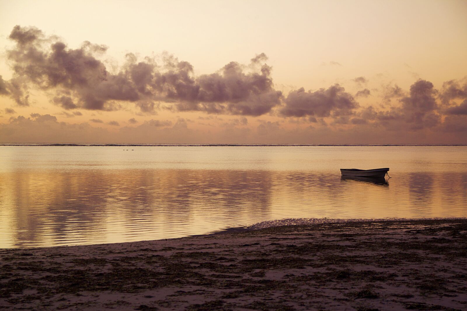 Canon EOS 600D (Rebel EOS T3i / EOS Kiss X5) sample photo. Tanzania, zanzibar, africa photography