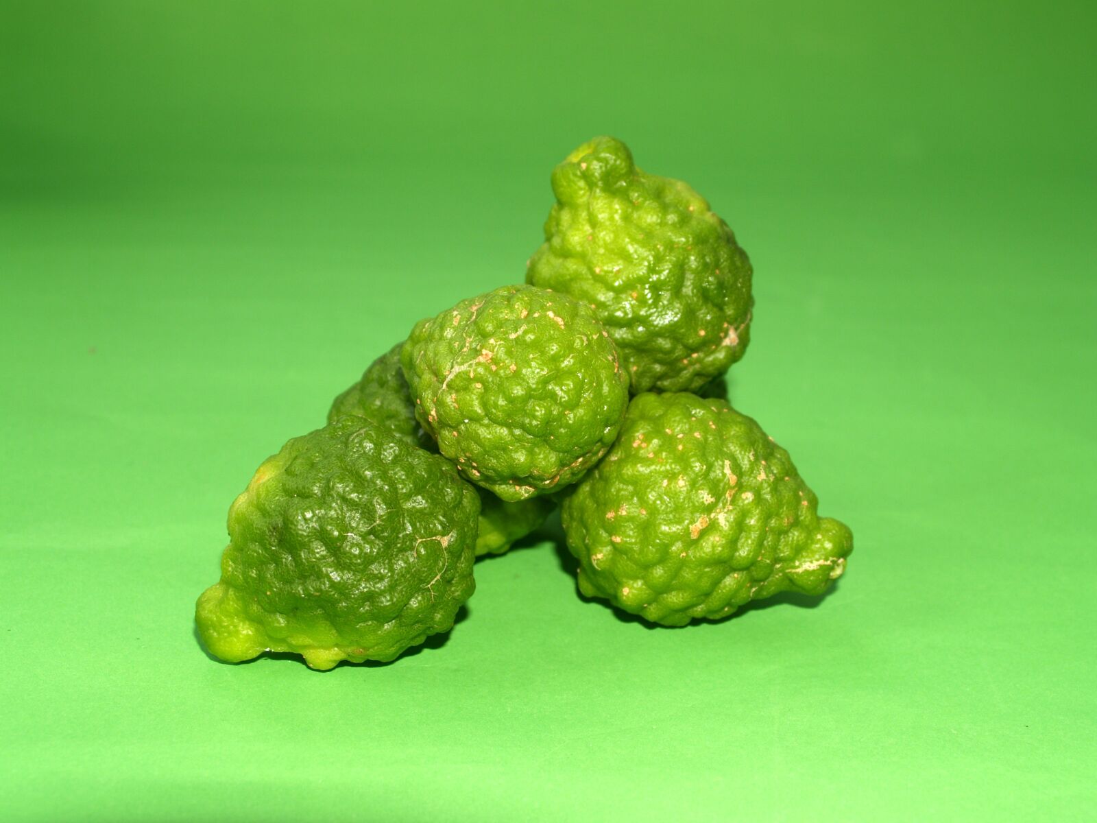 Olympus E-300 (EVOLT E-300) sample photo. Bergamot, fruit, leaf photography