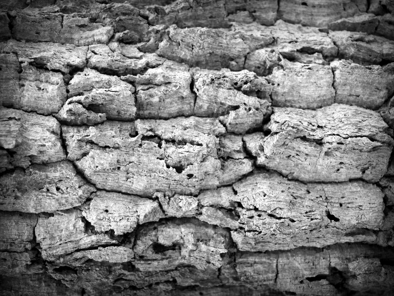 Olympus E-300 (EVOLT E-300) sample photo. Black, and, white, cement photography