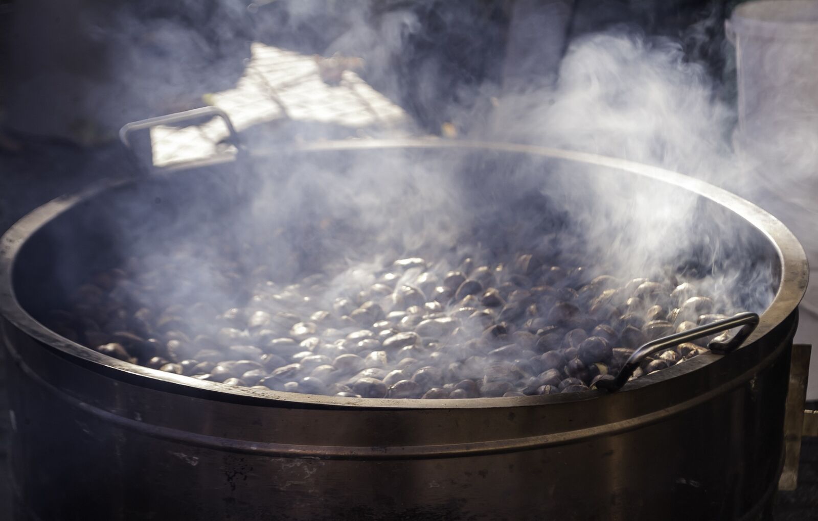 Fujifilm FinePix S3 Pro sample photo. Roasting chestnuts, chestnut, fruit photography