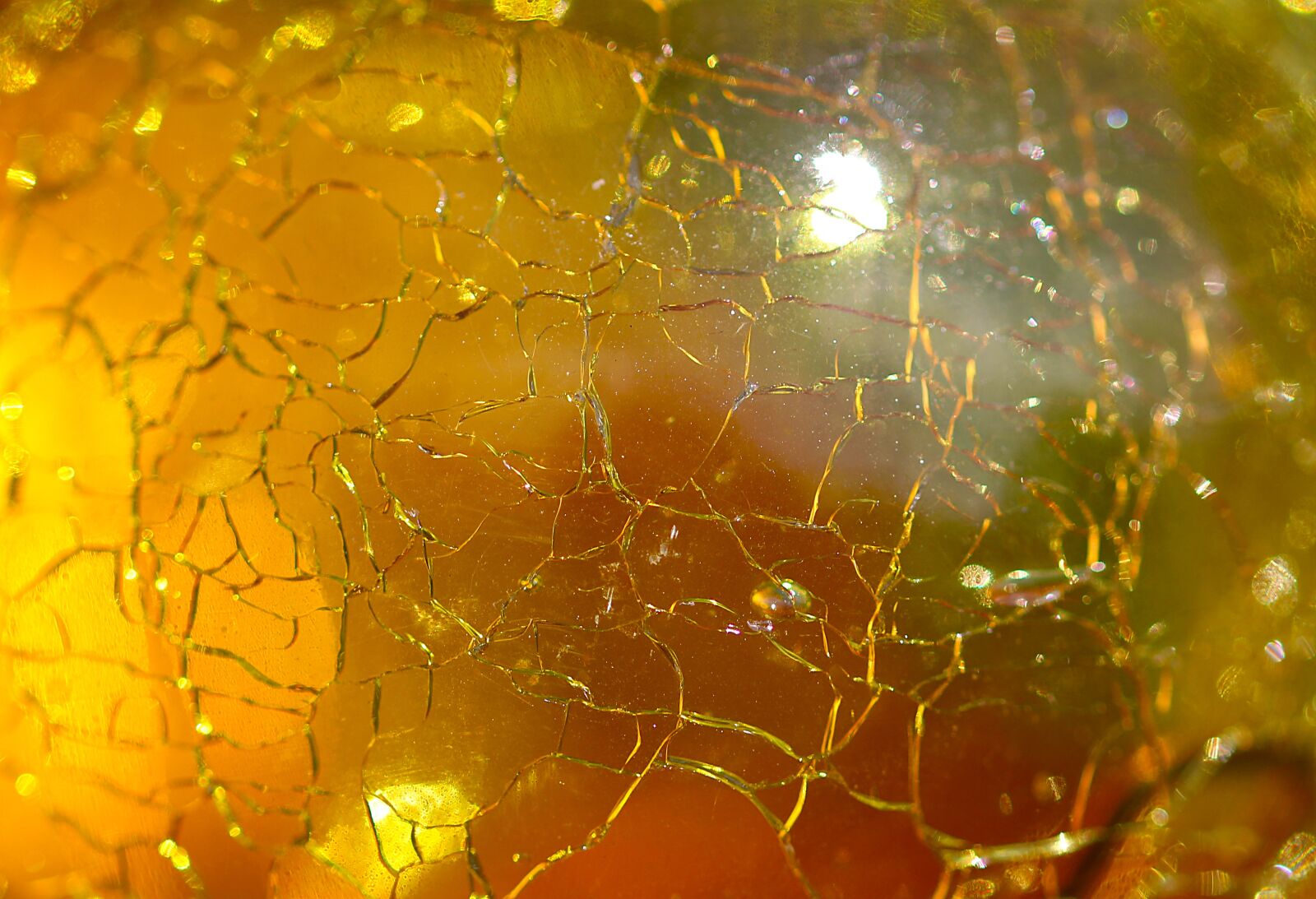 Canon EOS 700D (EOS Rebel T5i / EOS Kiss X7i) sample photo. Glass, background, yellow photography