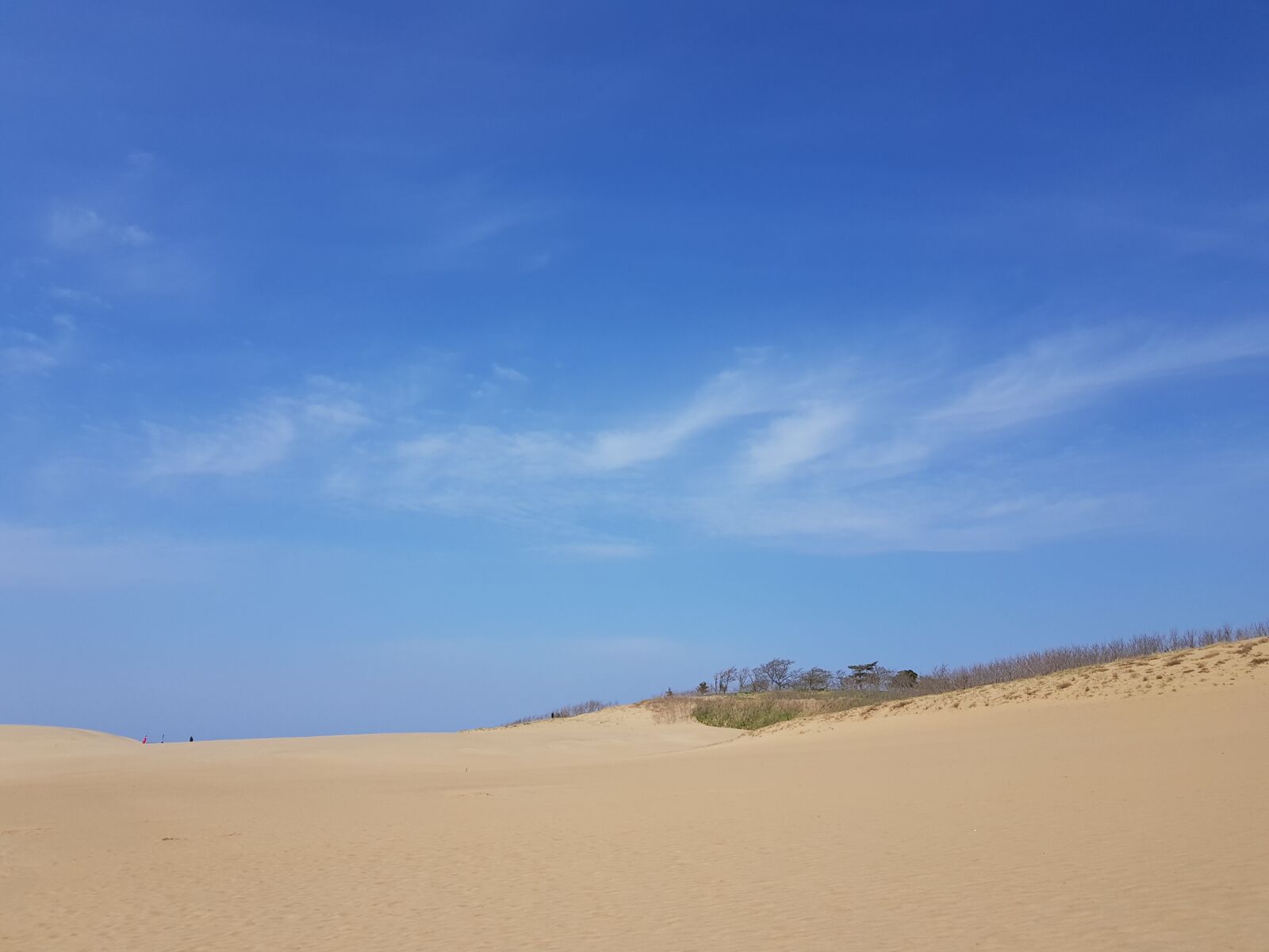 Samsung Galaxy S8 sample photo. 일본, 돗토리현, 사구 photography