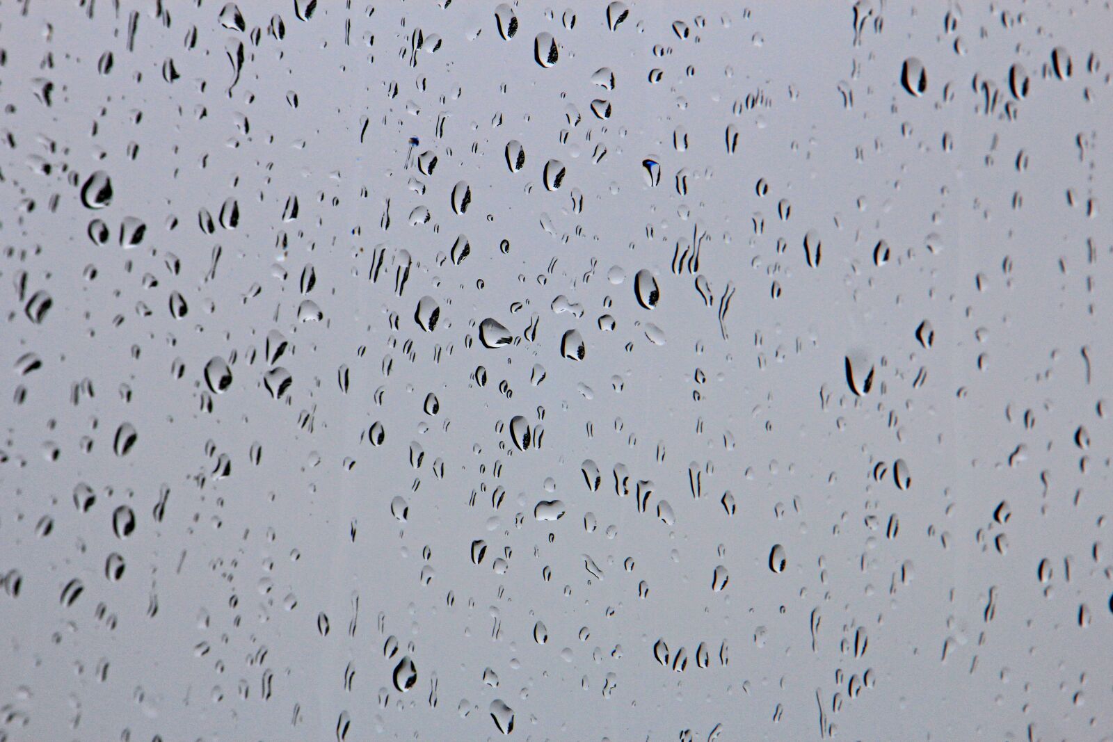 Canon EOS 60D sample photo. Drip, rain, raindrop photography