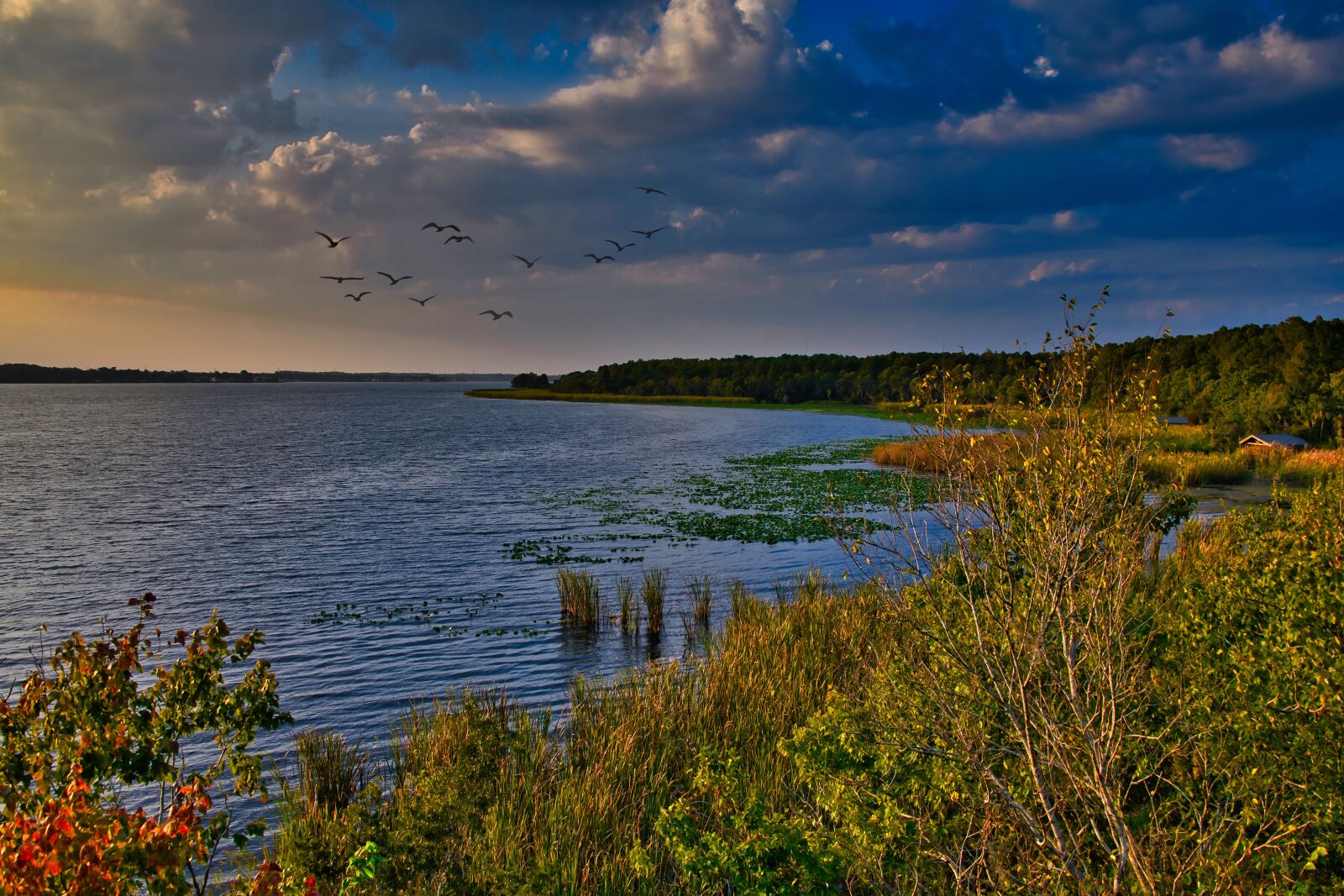 Nikon D850 sample photo. Lake, sunset, wilderness photography