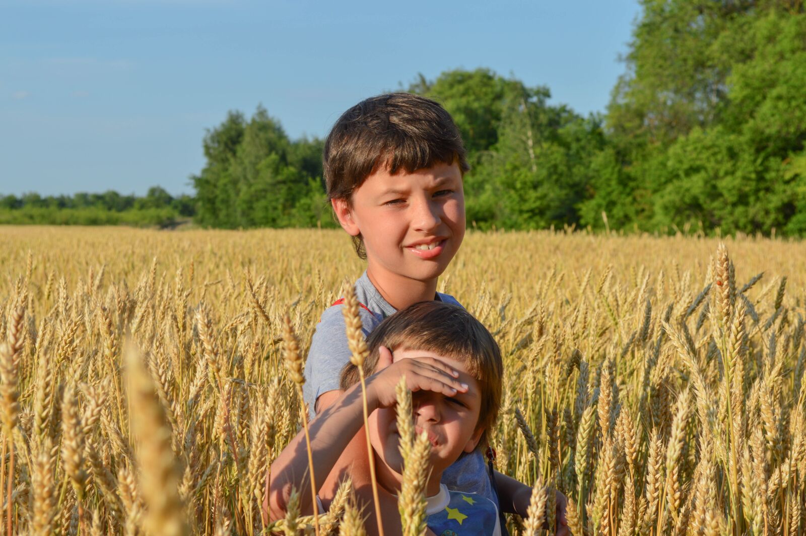 Nikon D3200 sample photo. Kids, field, summer photography