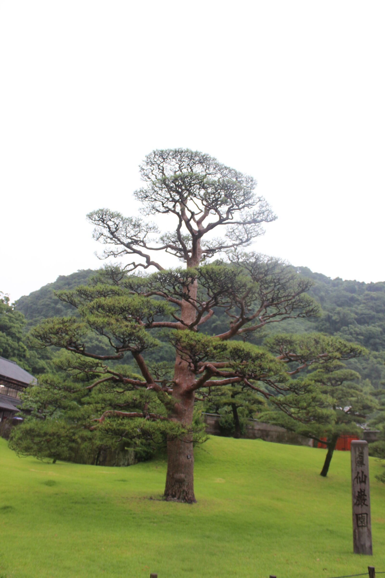 Canon EOS 600D (Rebel EOS T3i / EOS Kiss X5) sample photo. Japanese, garden, sengar, en photography