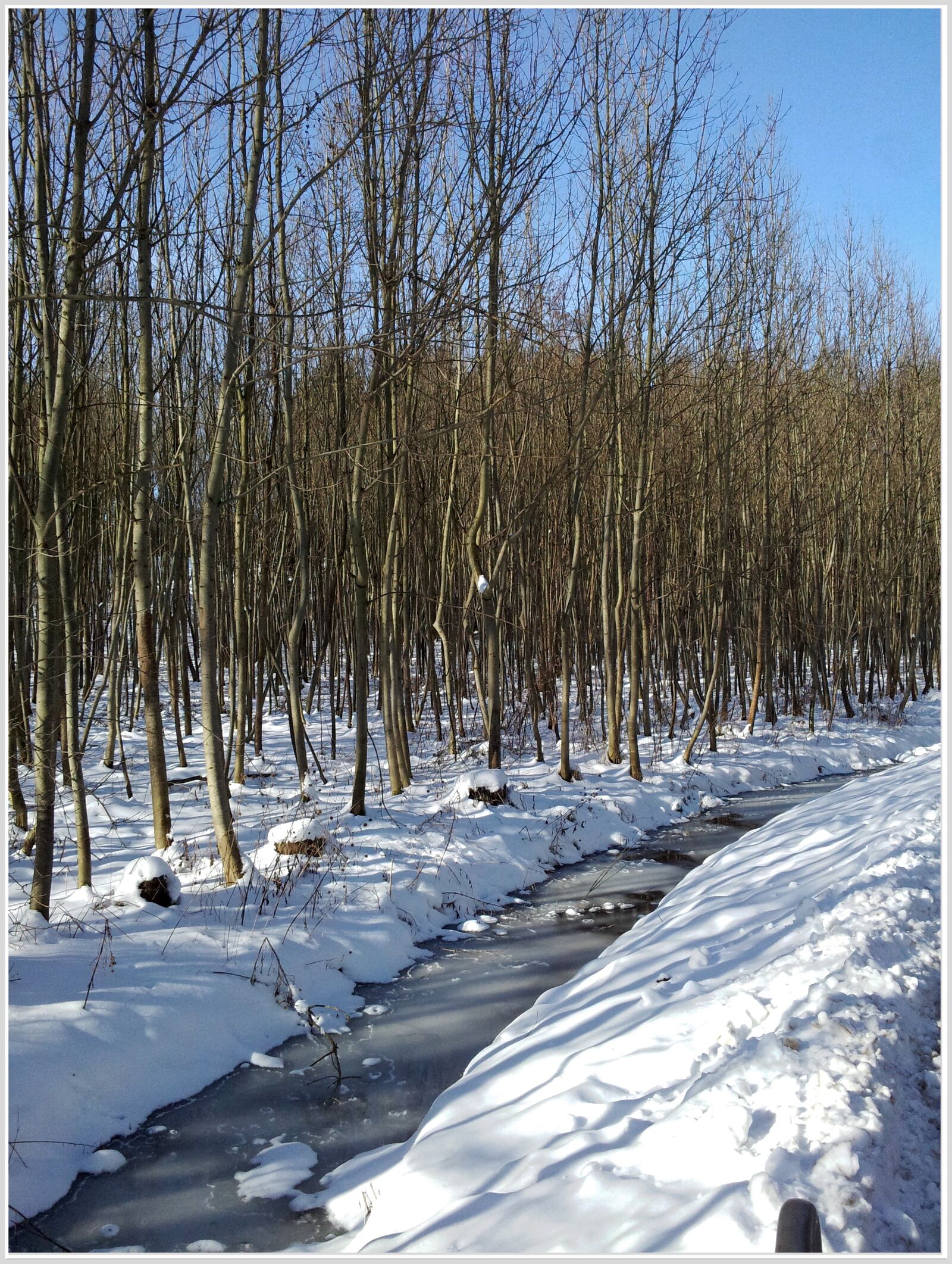 Samsung Galaxy S2 Plus sample photo. Winter, snow, landscape photography