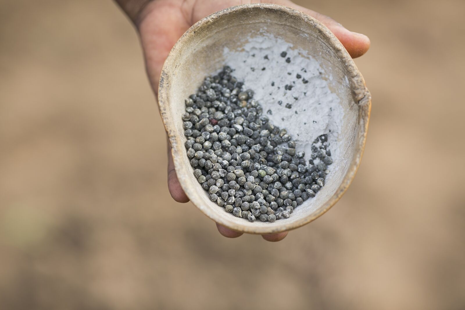 Canon EOS 5D Mark III sample photo. Seed, calabash, hand holding photography
