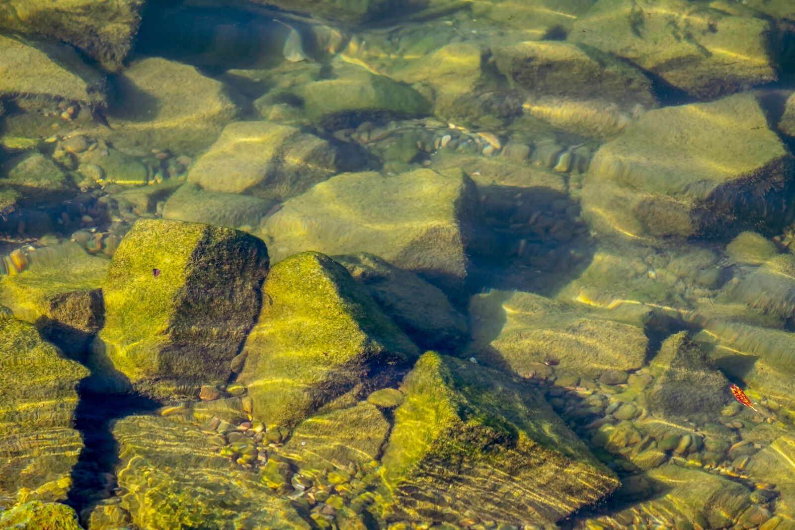 Fujifilm XF 55-200mm F3.5-4.8 R LM OIS sample photo. River, stones, underwater photography