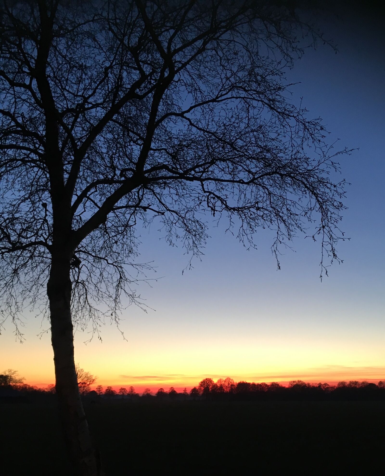 Apple iPhone SE sample photo. Landscape, dawn, nature photography