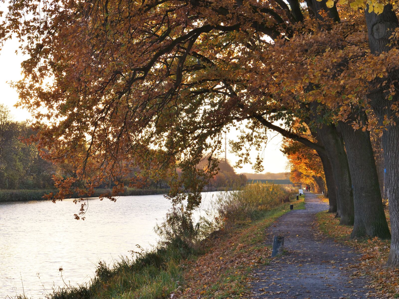 Panasonic Lumix DC-G9 sample photo. Autumn mood, dortmund ems photography