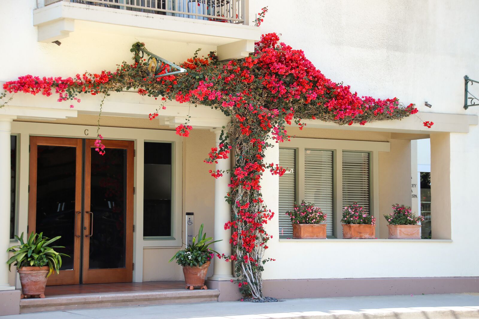 Canon EOS 600D (Rebel EOS T3i / EOS Kiss X5) sample photo. Bougainvillea, flower, red photography