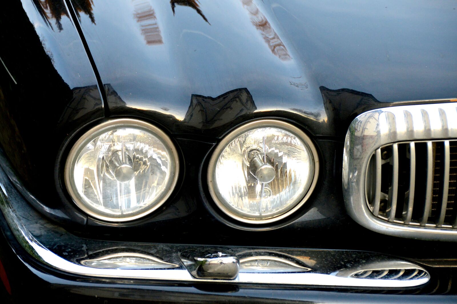 Nikon D3200 sample photo. Jaguar, auto, spotlight photography