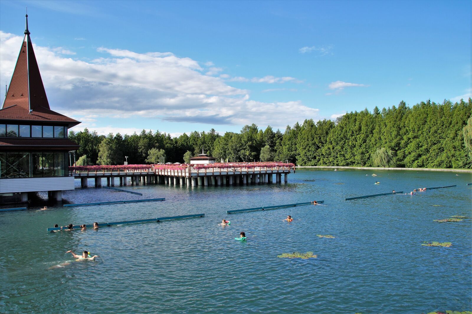 Sony SLT-A58 sample photo. Hevíz, lake, thermal photography