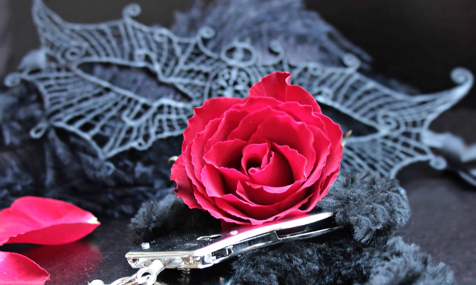 Canon EOS 550D (EOS Rebel T2i / EOS Kiss X4) sample photo. Flower, rose, black, mask photography